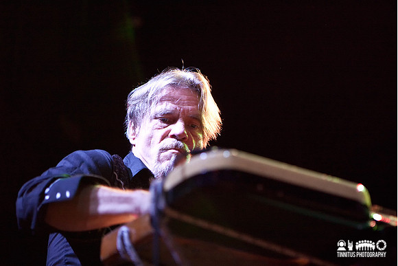 Swans in concert