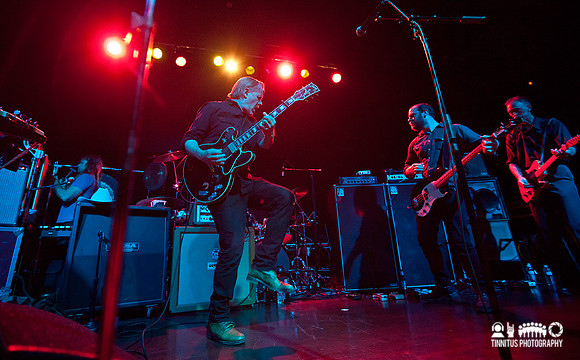 Swans in concert