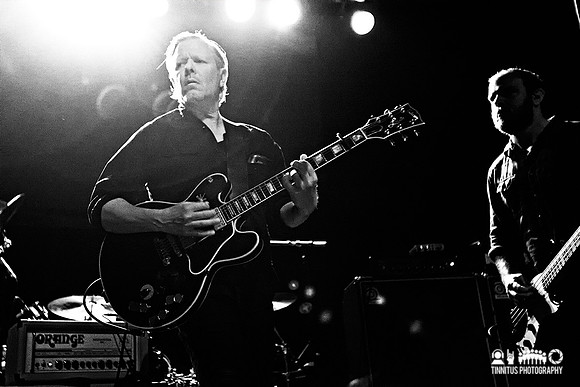 Swans in concert