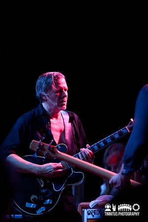 Swans in concert