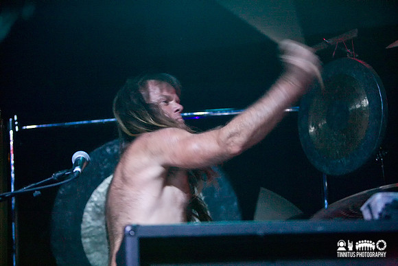 Swans in concert