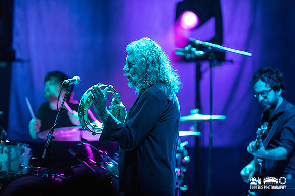 Robert Plant in concert