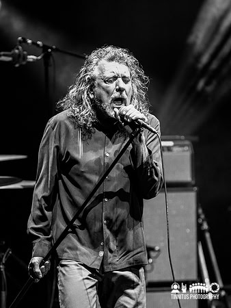 Robert Plant in concert