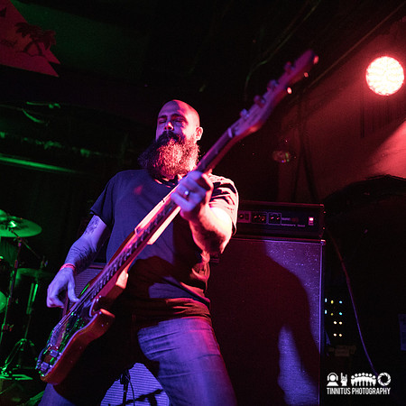 Gozu in concert