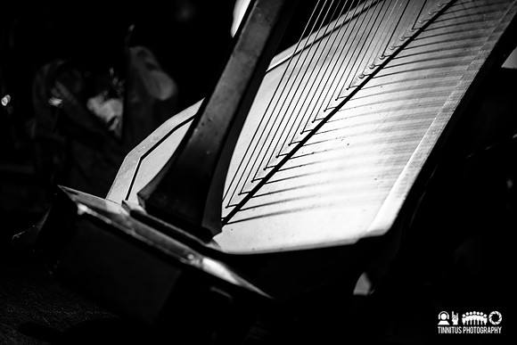 Mary Lattimore in concert