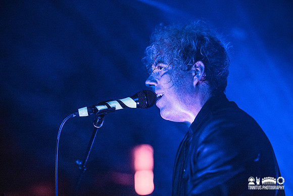 Avoxblue in concert