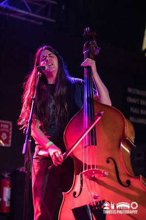 Alec K Redfearn and the Eyesores in concert