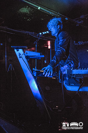 Avoxblue in concert