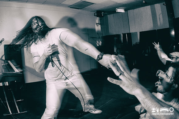 Andrew WK in concert