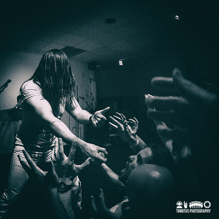 Andrew WK in concert