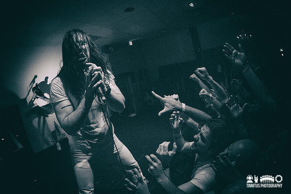 Andrew WK in concert