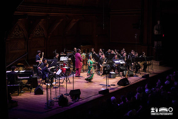 Angélique Kidjo in concert