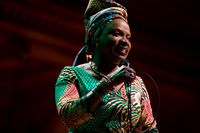 Angélique Kidjo in concert