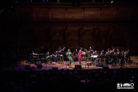 Angélique Kidjo in concert