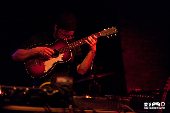 Animal Hospital in concert