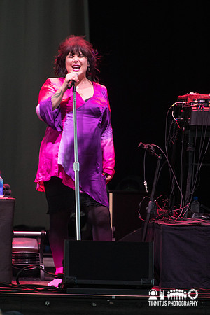 Ann Wilson in concert
