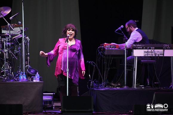 Ann Wilson in concert