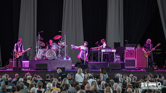 Ann Wilson in concert