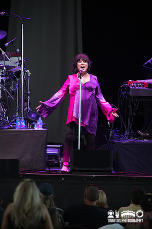 Ann Wilson in concert