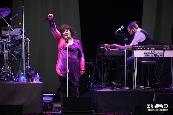 Ann Wilson in concert