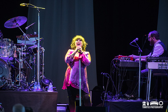 Ann Wilson in concert