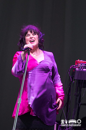Ann Wilson in concert