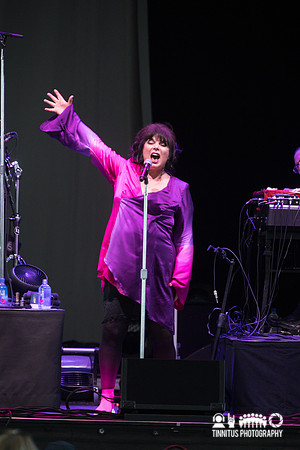 Ann Wilson in concert