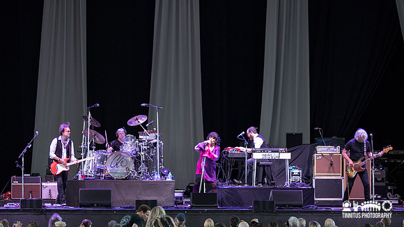 Ann Wilson in concert