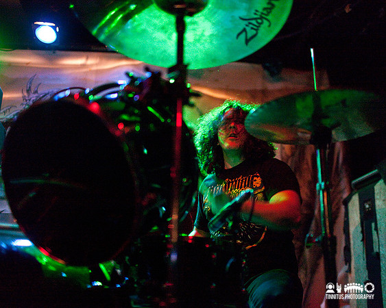 Black Cobra in concert