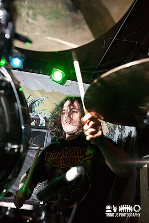 Black Cobra in concert
