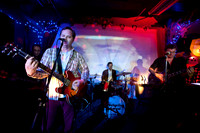 The Reigning Sound in concert