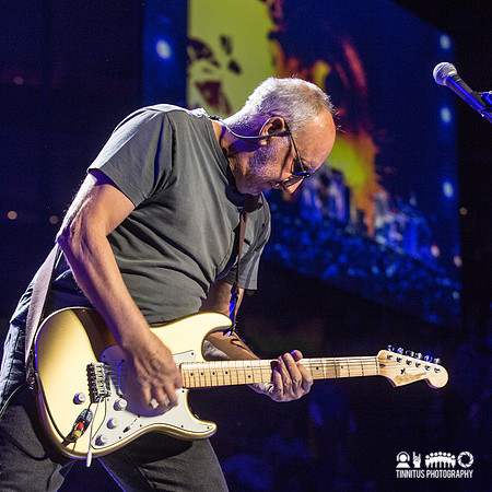 The Who in concert