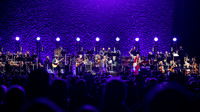 The Who in concert