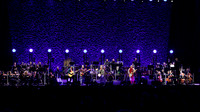 The Who in concert