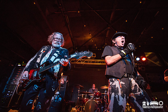 The Weirdos in concert