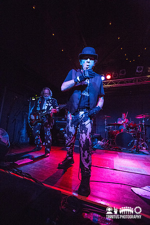 The Weirdos in concert
