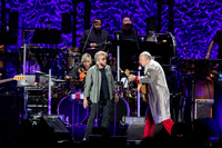The Who in concert