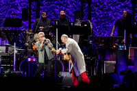 The Who in concert