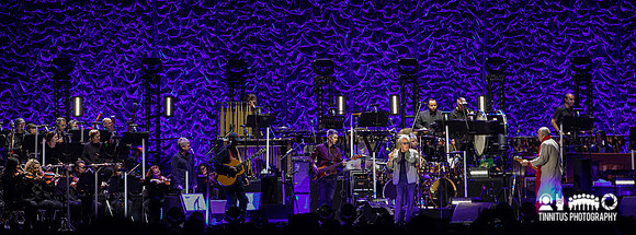 The Who in concert