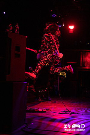The Melvins in concert