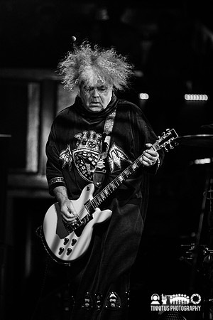 The Melvins in concert