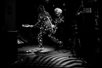 The Melvins in concert