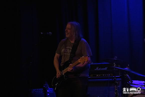 The Bevis Frond in concert