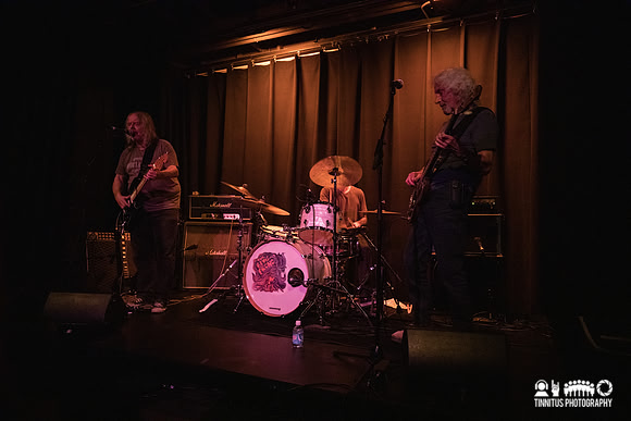 The Bevis Frond in concert
