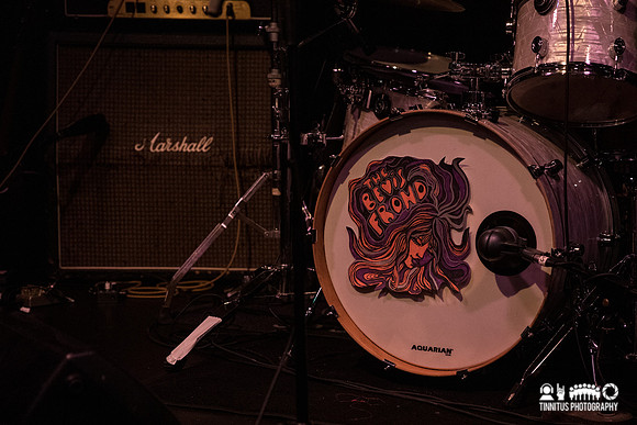 The Bevis Frond in concert