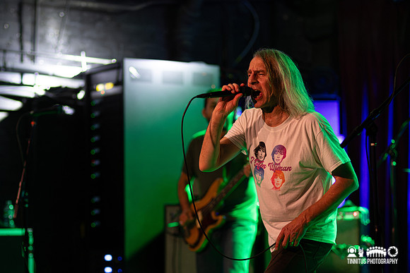 Mudhoney in concert