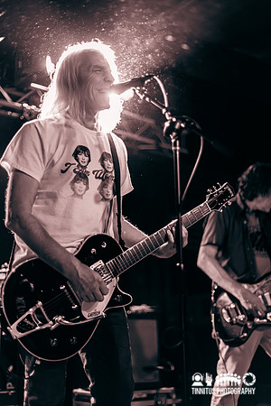 Mudhoney in concert
