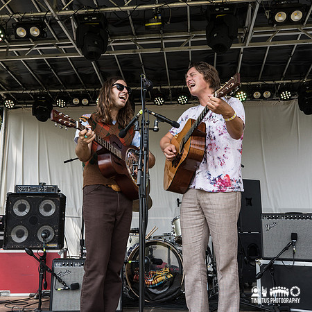 Mapache in concert