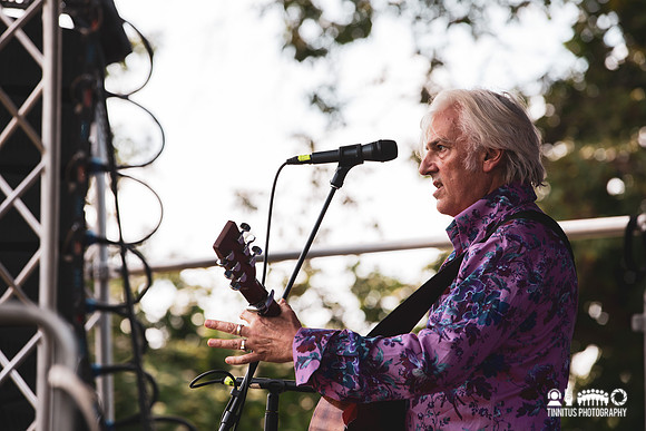 Robyn Hitchcock in concert