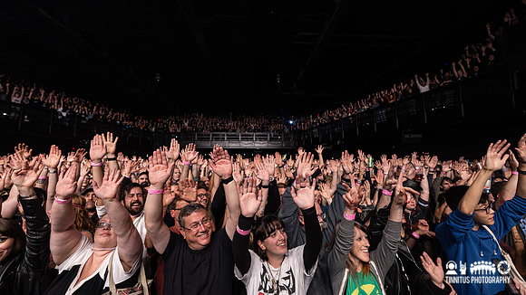 The Hives in concert